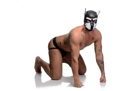 Spike Puppy BDSM Hood - Zwart/Wit